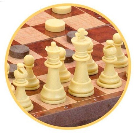 Magnetic chess-checkers Cayro