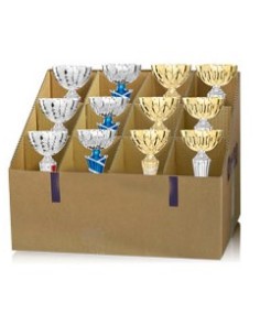 Lote 12 copas para torneos y eventos 2